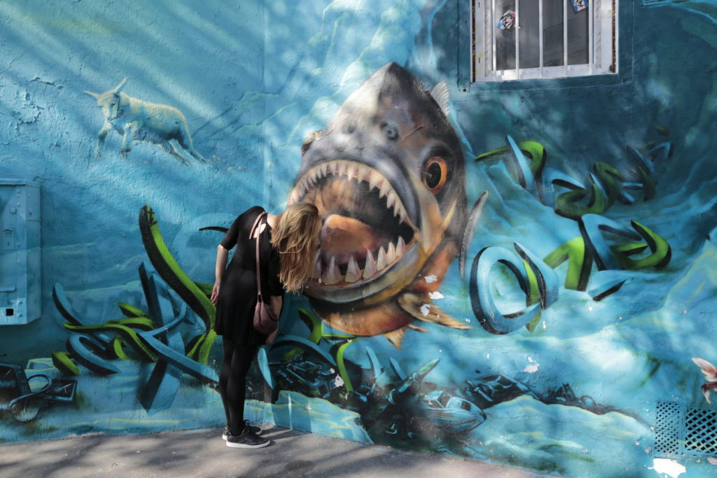 Balades street-art dans Paris pour petits et grands avec Camille de Voulez-vous Paris avec moi ?